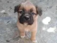 Caetano