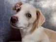 SEM NOME