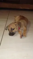 Lua e Luan 