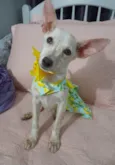 Bela