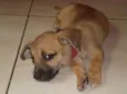Lua e Luan 