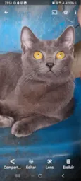 Juninha