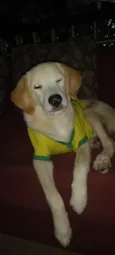 Billy