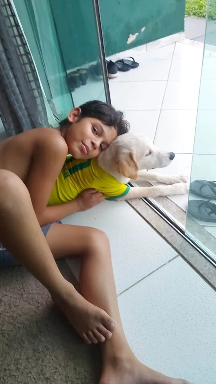 Cachorro raça Labrador  idade 1 ano nome Billy