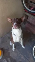 Beyle