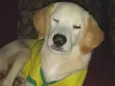 Billy