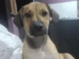 Lola