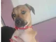 Lola