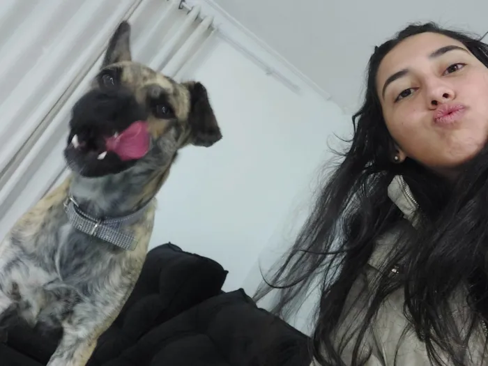 Cachorro ra a Sd idade 2 anos nome Frederico 