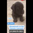 Bentinho