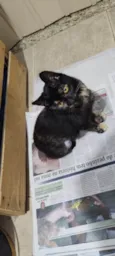 Princesa