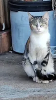 Mel