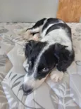 Bob