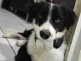 Bob