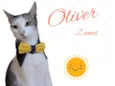 Olivier 