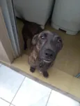 TIM