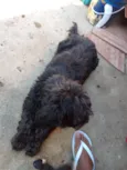 Xênia
