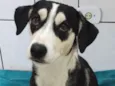 Sem Nome