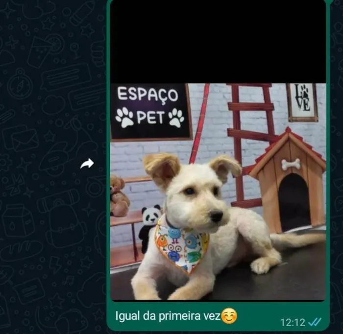 Cachorro ra a  idade 1 ano nome Peludo2