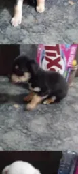 Lucky 