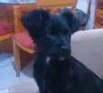 Ben