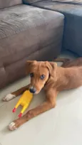 Oliver
