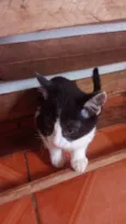 Não tem