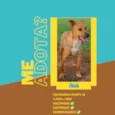 Nick