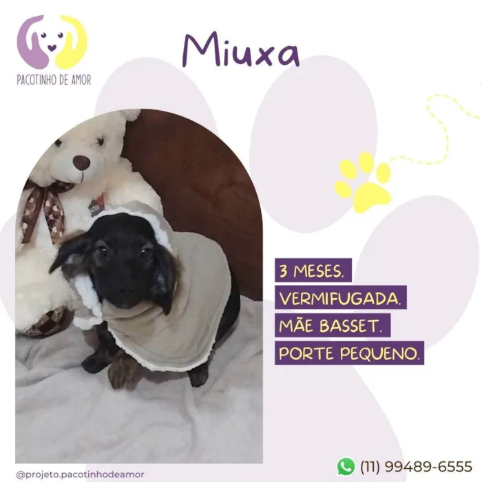 Miuxa 
