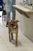 Não sabemos