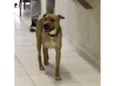 Não sabemos