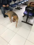 Não sabemos