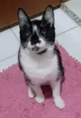 AYKA