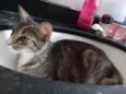 Mimi