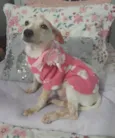 Belinha