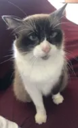 Helena