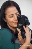 Cachorro raça SRD-ViraLata idade 3 anos nome DORA