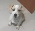Bob