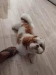 Billy 