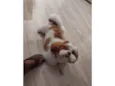 Billy 