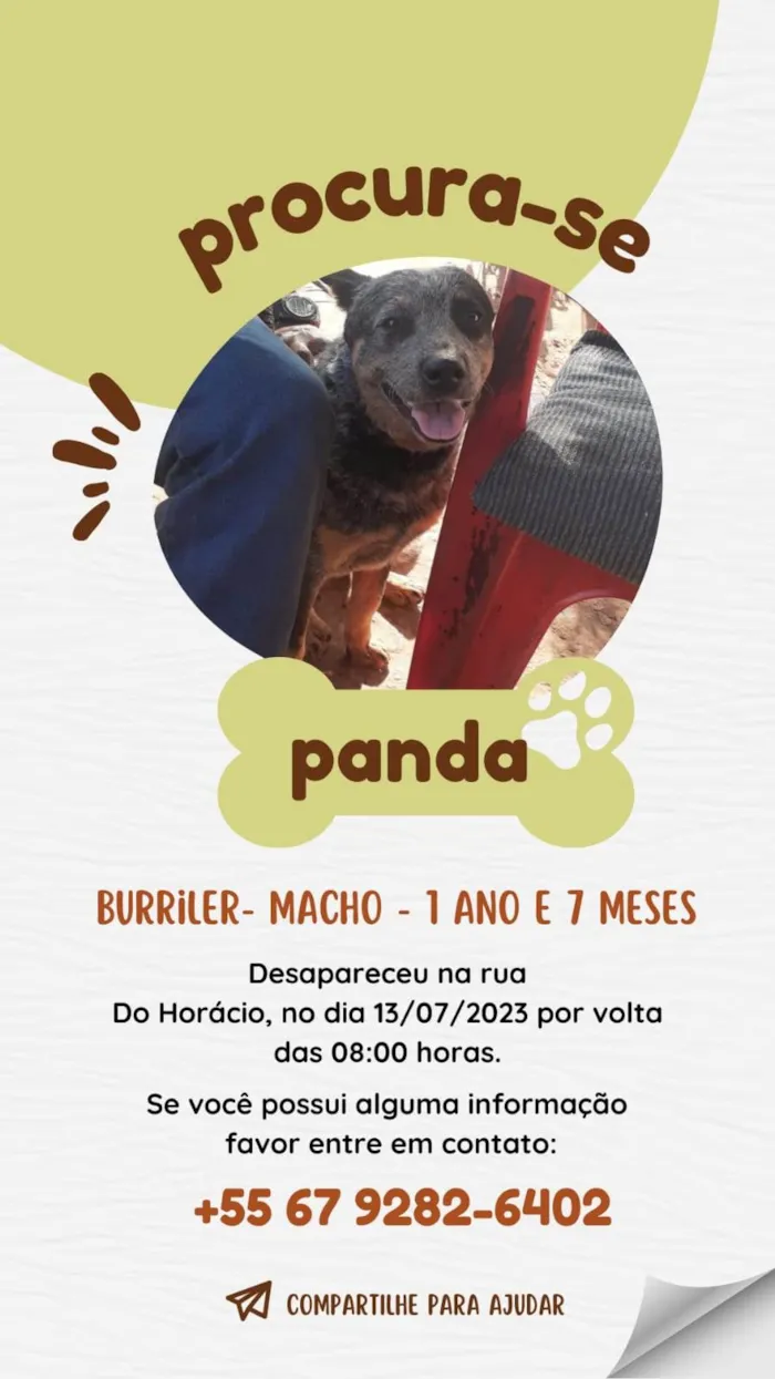 Cachorro ra a Blureller idade 1 ano nome Panda