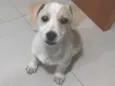 Bob