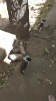 Não temos nomes ainda 