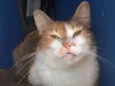 Nora