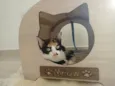 Catarina 