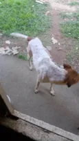 Bili