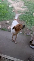 Bili
