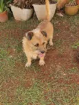 Ted