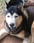 Eros 