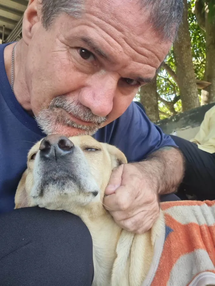 Cachorro ra a SRD-ViraLata idade 3 anos nome Caramelo 